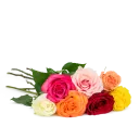 Custom 80 cm Ecuadorian Roses